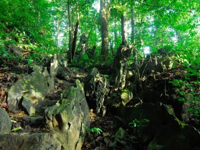 Cuc Phuong National Park in Ninh Binh