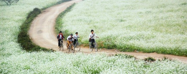 Mai Chau in Hoa Binh
