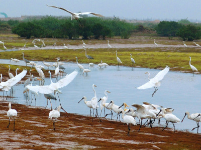 Xuan Thuy National Park