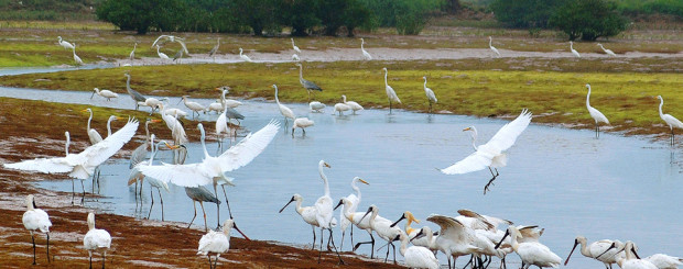 Xuan Thuy National Park